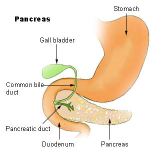 Progression of Diabetes from Type 2 to Type 1