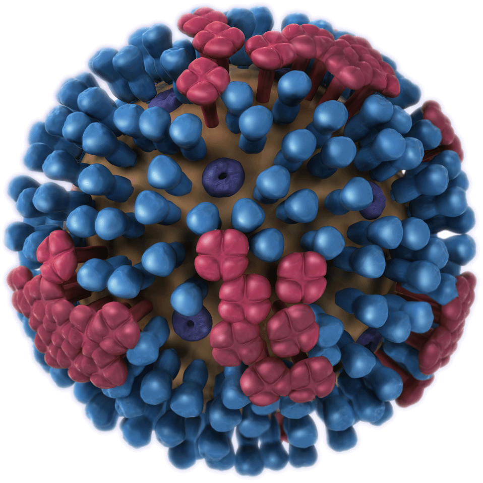 COVID-19 (Corona Virus) PANDEMIC